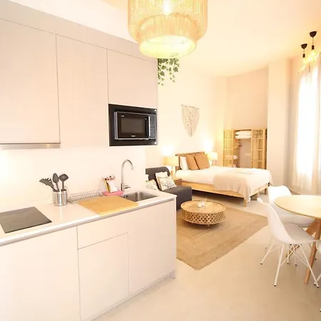Del Parque Flats Monkey 1 Apartamento Málaga